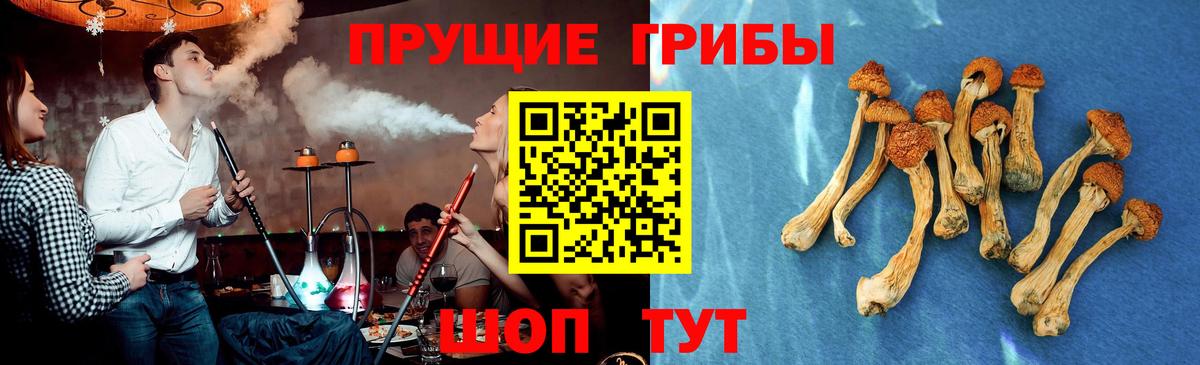 Галлюциногенные грибы мухоморы  Псилоцибиновые грибы Psilocybe  Ростов-на-Дону  Вход с VPN 